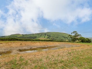 An outdoor landscape with a dry riverbed foreground green hills and scattered trees under a partly cloudy sky at Byrdir Cottage in Rhayader
