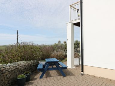 An outdoor patio area with a blue picnic table and green plants in pots next to a white building at Seascape in Trearddur Bay