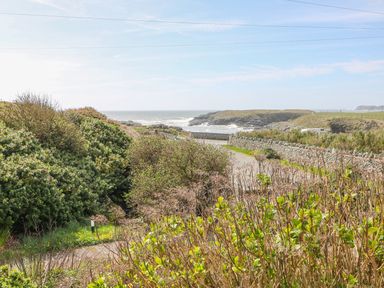 A coastal landscape with bushes a stone wall a road and the sea in the background at Seascape in Trearddur Bay