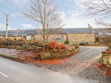 A driveway leading to stone cottages with bare trees and fallen autumn leaves at The Dairy in Milton near Brampton