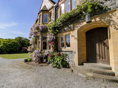 The exterior of a stone house with a wooden door climbing plants and a gravel driveway at Plas Gwynfryn in Llanbedr