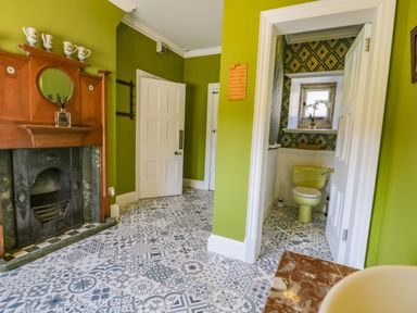 A room with green walls a patterned tile floor a fireplace and a door leading to a bathroom with a green toilet at Plas Gwynfryn in Llanbedr