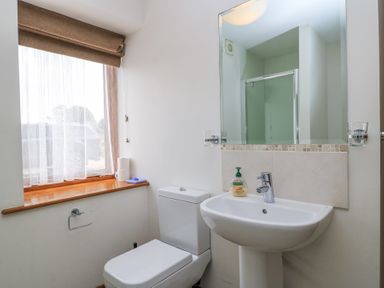 A bathroom with a toilet sink mirror window and shower at Shepherd's Barn Between Milborne St Andrew and Winterborne Whitechurch