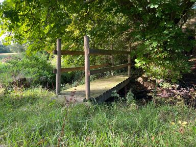 A small wooden footbridge over grass and plants with trees around at Saddlers Cottage Berllandeg Farm in Clunderwen near Narberth
