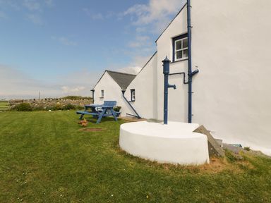An outdoor area with white buildings a blue picnic table a water pump and a chicken on grass at Ty Fferm Bodlasan in Llanfachraeth near Valley