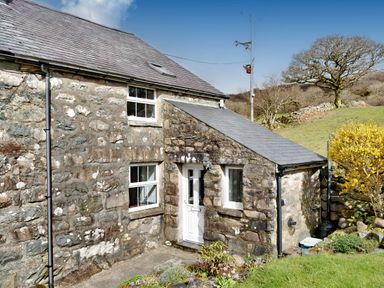 Stone house with slate roof white door and two windows garden and tree in background at Ty Capel Jeriwsalem in Bronaber near Trawsfynydd