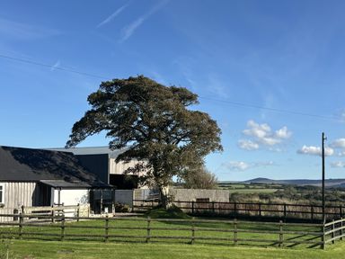 A tree and barn with a fence in the foreground at Y Cwtch Newport