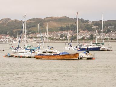A harbor with various sailboats and motorboats on water with hills and houses in the background