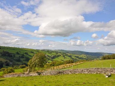 A fenced grassy hillside with a stone wall and trees under a cloudy sky at Hendre Aled Cottage 3 in Llansannan