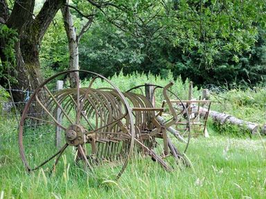An old metal farm harrow with large wheels in a grassy field near trees at Hendre Aled Cottage 1 in Llansannan near Llanrwst