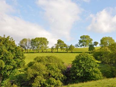 A grassy field with scattered trees under a partly cloudy sky at Hendre Aled Cottage 1 in Llansannan near Llanrwst