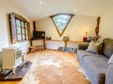 A living room with a gray sofa a wooden shelf with books a TV a white stove and a cowhide rug at Brookbank Folly in Mitcheldean