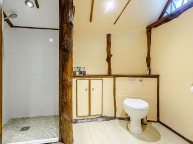 A bathroom with a walk-in shower and toilet with wooden accents at Brookbank Folly in Mitcheldean