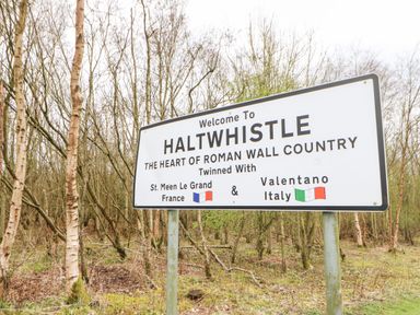 A welcome sign for Haltwhistle in a wooded area with birch trees