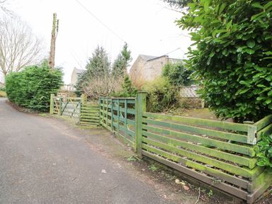 A green wooden fence and gate along a narrow road with trees and bushes behind at Hollie Cottage in Haltwhistle