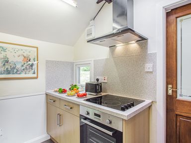 A kitchen countertop with plates of vegetables a toaster a stove with an oven below and a wooden door at Penlan in Beddgelert