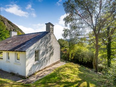 A white house with a sloped roof next to a tree and green lawn at Penlan in Beddgelert