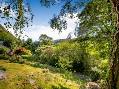 A garden with trees bushes and grass with a mountain in the background at Penlan in Beddgelert