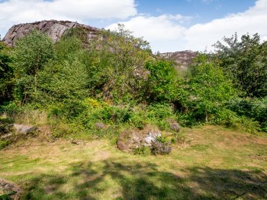 A grassy clearing with bushes and trees in front of a rocky hill at Penlan in Beddgelert
