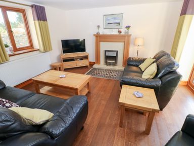 A living room with a television and fireplace at Bwthyn Trecoed, St. Clears near Carmarthen