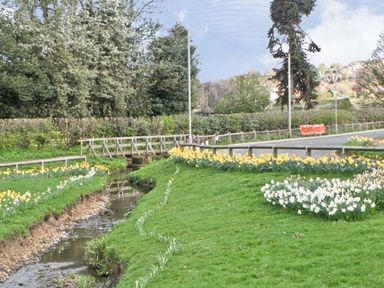 A small stream running through a grassy area with yellow and white flowers alongside a road with railings and trees in the background at No 2 Low Hall Cottages Scalby near Scarborough