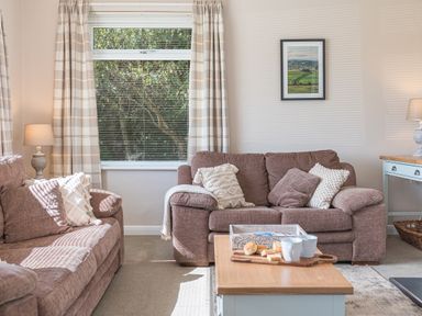 A living room with two brown sofas with cushions a window with plaid curtains a coffee table with cups and snacks and a framed picture on the wall at Colt Park Cottage in Ulverston