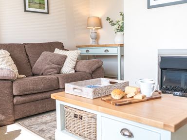 A living room with a brown sofa cushions lamp vase and fireplace at Colt Park Cottage in Ulverston