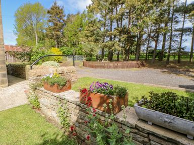 A garden area with flower pots on a stone wall and trees in the background at Moorgair Cottage Slaley near Hexham