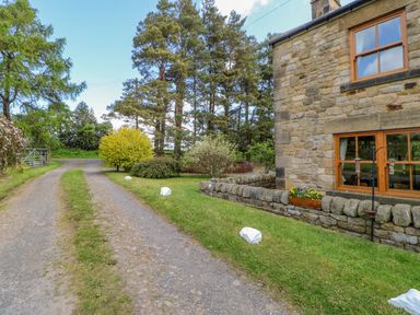 A gravel driveway with grass between tracks beside a stone house with wooden windows and a garden at Moorgair Cottage in Slaley near Hexham
