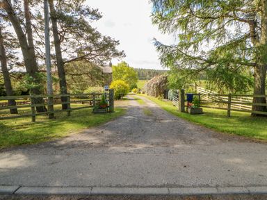 A gravel driveway between wooden fences leading to a house and greenery at Moorgair Cottage in Slaley near Hexham
