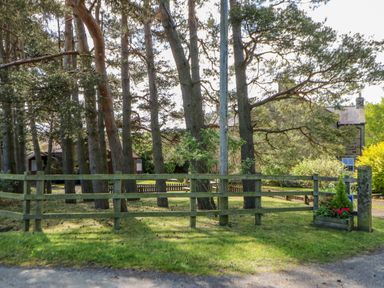 A fenced garden area with trees and a house in the background at Moorgair Cottage Slaley near Hexham
