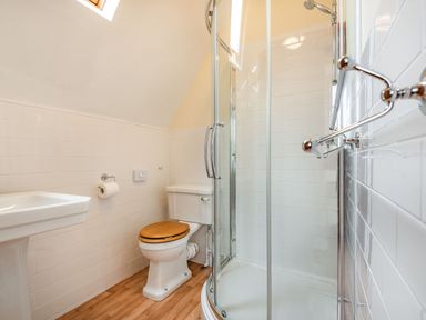 A bathroom with a toilet featuring a wooden seat a shower with glass doors and a white sink at Pensarn Hall in Llanbedr near Harlech