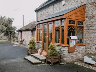A dog lying on the steps of a stone house with wooden framed windows and potted plants near the entrance at Stargazer's Field House in Hardwicke near Hay-on-Wye