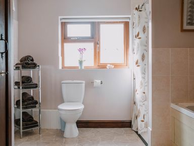 A bathroom with a toilet towels on a rack a window with a flower pot and a shower curtain at Stargazer's Field House Hardwicke near Hay-on-Wye