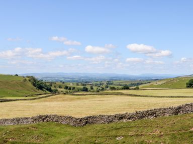A rural landscape with stone walls dividing fields under a blue sky at The Cow Byre in Barras near Kirkby Stephen