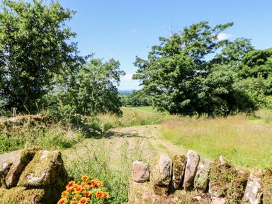 A grassy path bordered by a stone wall and trees with flowers in the foreground at The Cow Byre in Barras near Kirkby Stephen