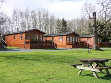 Three wooden lodges with front decks on a grassy area with a wooden picnic table and trees at Oak Lodge Beaconsfield Holiday Park