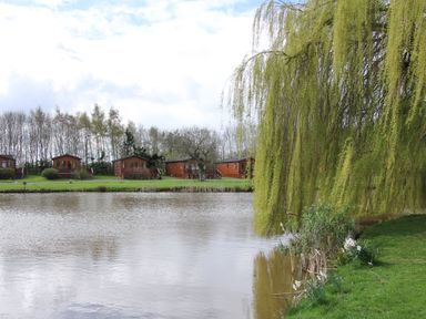 A lake with green grass and trees on the shore and wooden cabins in the background at Oak Lodge in Beaconsfield Holiday Park