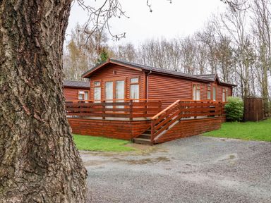 A wooden cabin with a deck and stairs surrounded by grass and trees at Oak Lodge in Beaconsfield Holiday Park