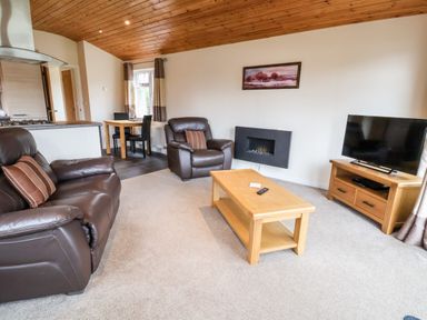 A living room with brown leather sofas a wooden coffee table a wall mounted fireplace a dining table with chairs and a television at Oak Lodge in Beaconsfield Holiday Park