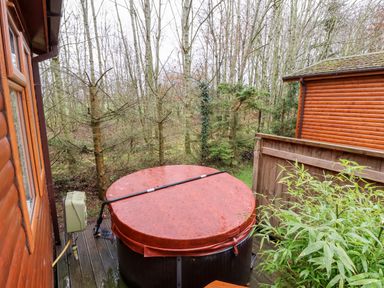 An outdoor hot tub on a wooden deck next to a wooden cabin surrounded by trees and plants at Oak Lodge in Beaconsfield Holiday Park