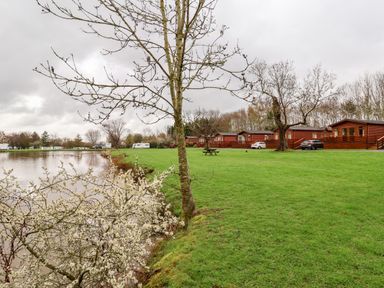 A lakeside view with wooden lodges cars and green grass at Oak Lodge in Beaconsfield Holiday Park