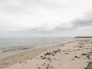 A sandy beach with seaweed along the shoreline and the ocean under a cloudy sky at On The Watersedge in Beadnell