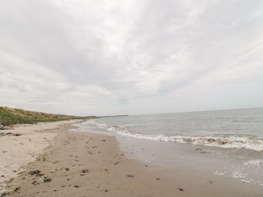 A sandy beach with small rocks and grass along the shoreline by the sea at On The Watersedge in Beadnell