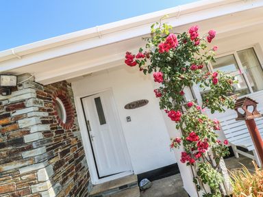 The white front door of a house with a rose bush climbing a column next to the door at The Shack in Mawgan Porth near Newquay