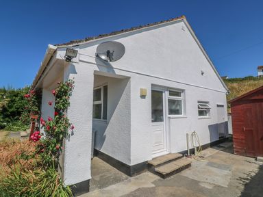 An exterior view of a white house with a satellite dish climbing roses and a red wooden shed at The Shack in Mawgan Porth near Newquay