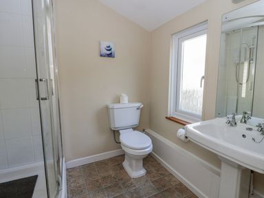 A bathroom with a shower, toilet and sink at Penlone Cottage in Rhayader