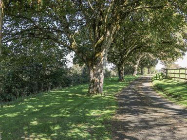 A paved path lined with trees on one side and a wooden fence on the other side with grass around at Middle Barn Launceston