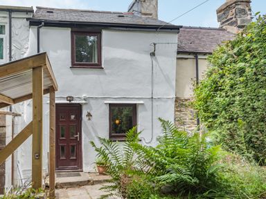A white two story house with a brown door and windows and a garden with green plants at 3 Tyn Y Mynydd in Penmachno