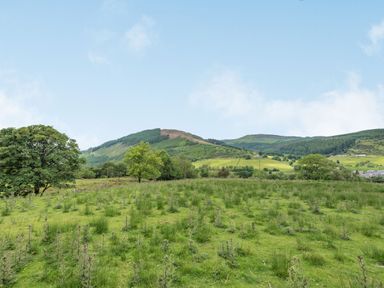 A grassy field with scattered trees and hills in the background at 3 Tyn Y Mynydd in Penmachno